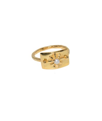 Bague plaque rose des vents dorée à l'or fin 18k vente chaude votre 