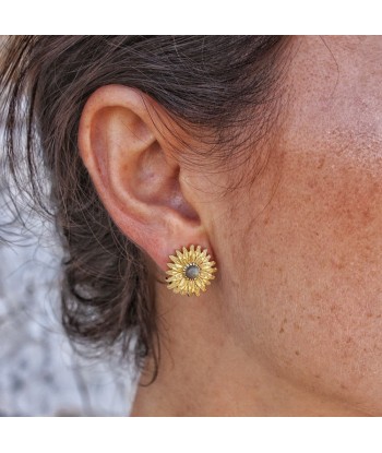 Boucles dorées marguerite et pierre des créatures d'habitude