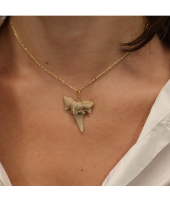 Collier doré dent de requin fossilisée rembourrage situé sous